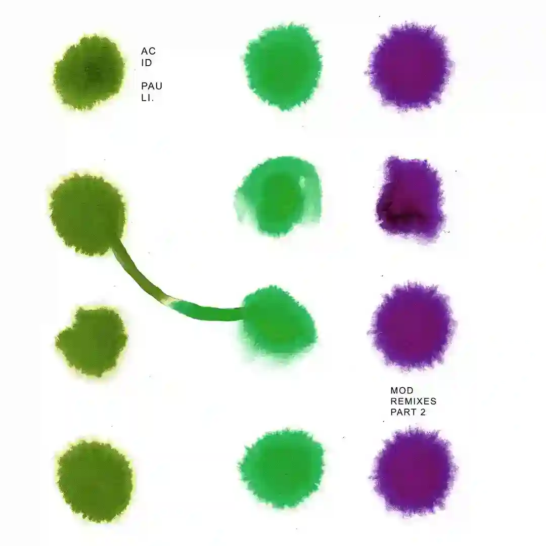 Life Polarizer (Lenka Toma Remix) cover