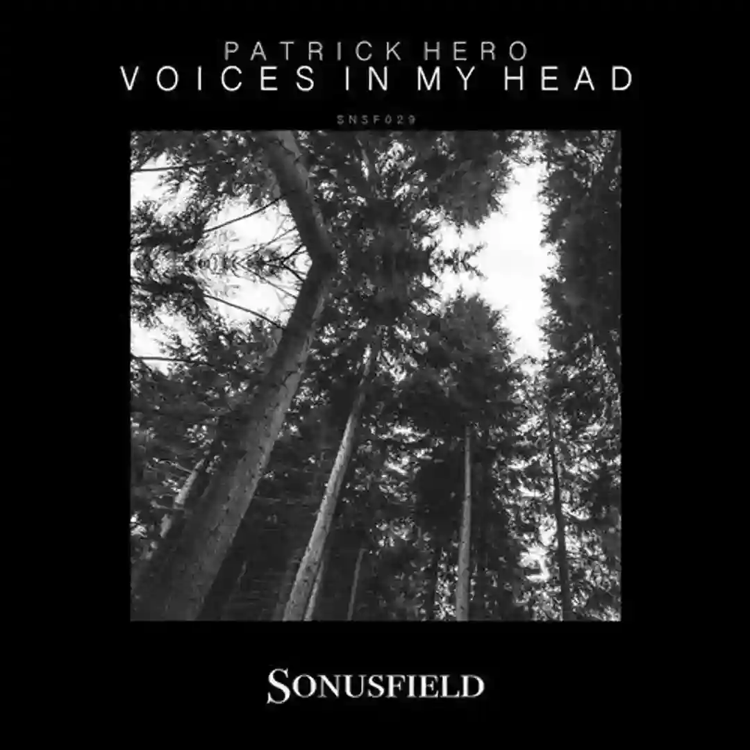 Voices in My Head cover