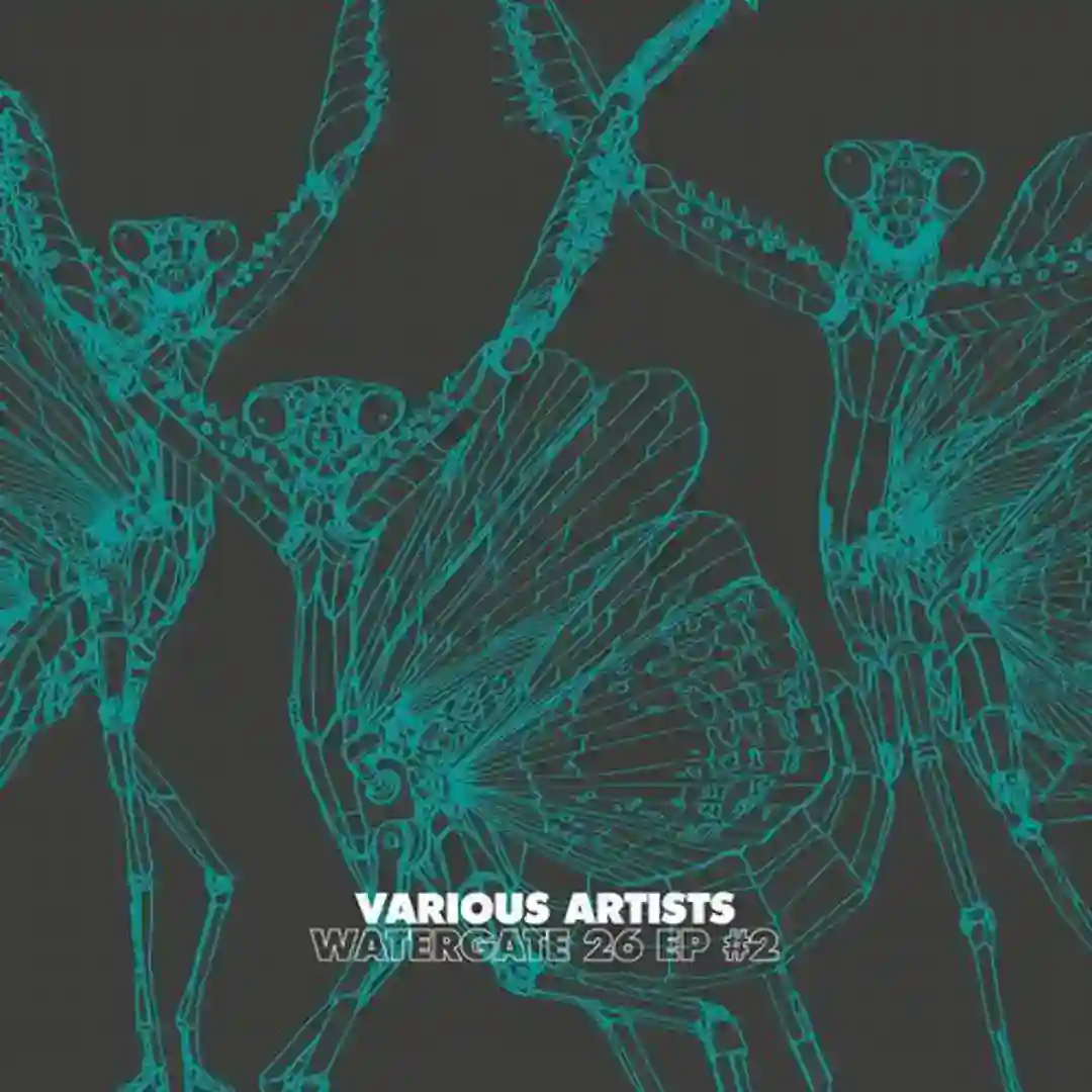 Radiowaves (Original Mix) cover