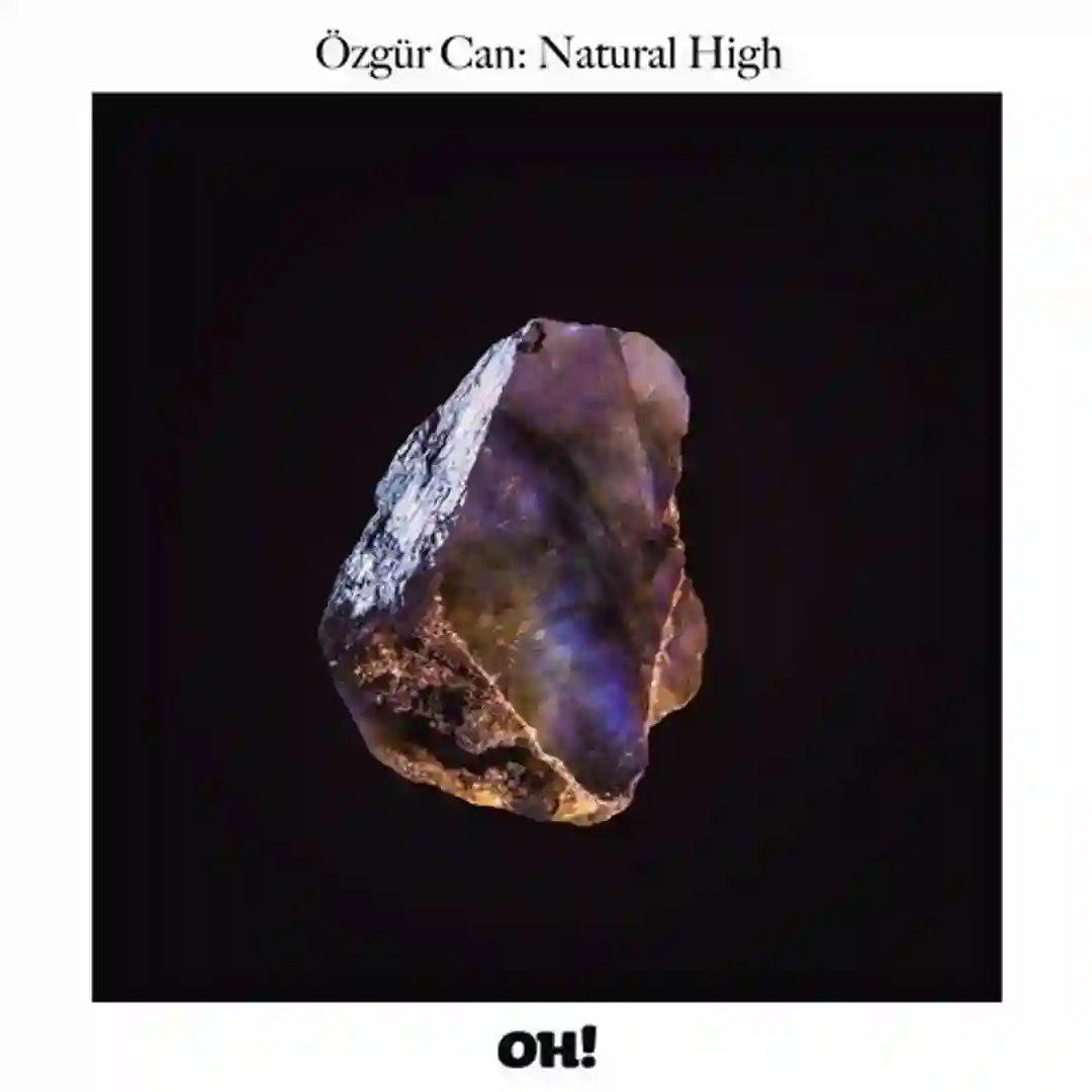 Blind Spot (Original Mix) cover
