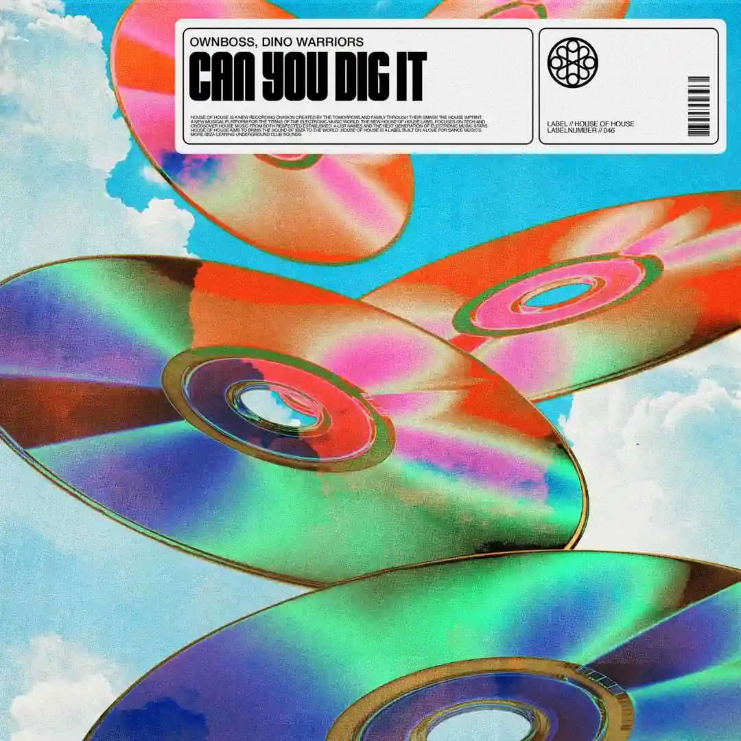 Can You Dig It (Extended Mix) cover