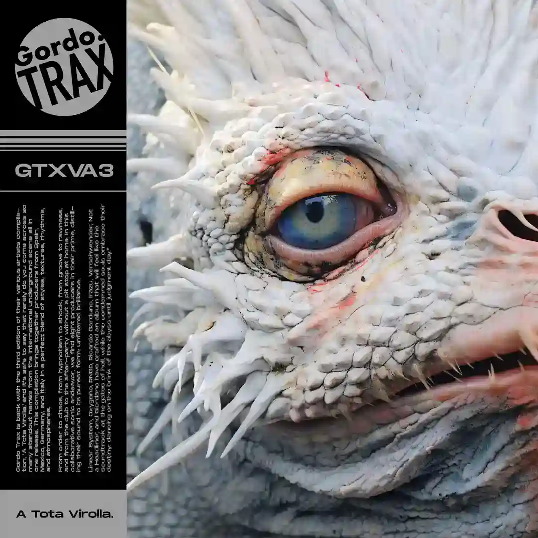 Structural Perception (Original Mix) cover