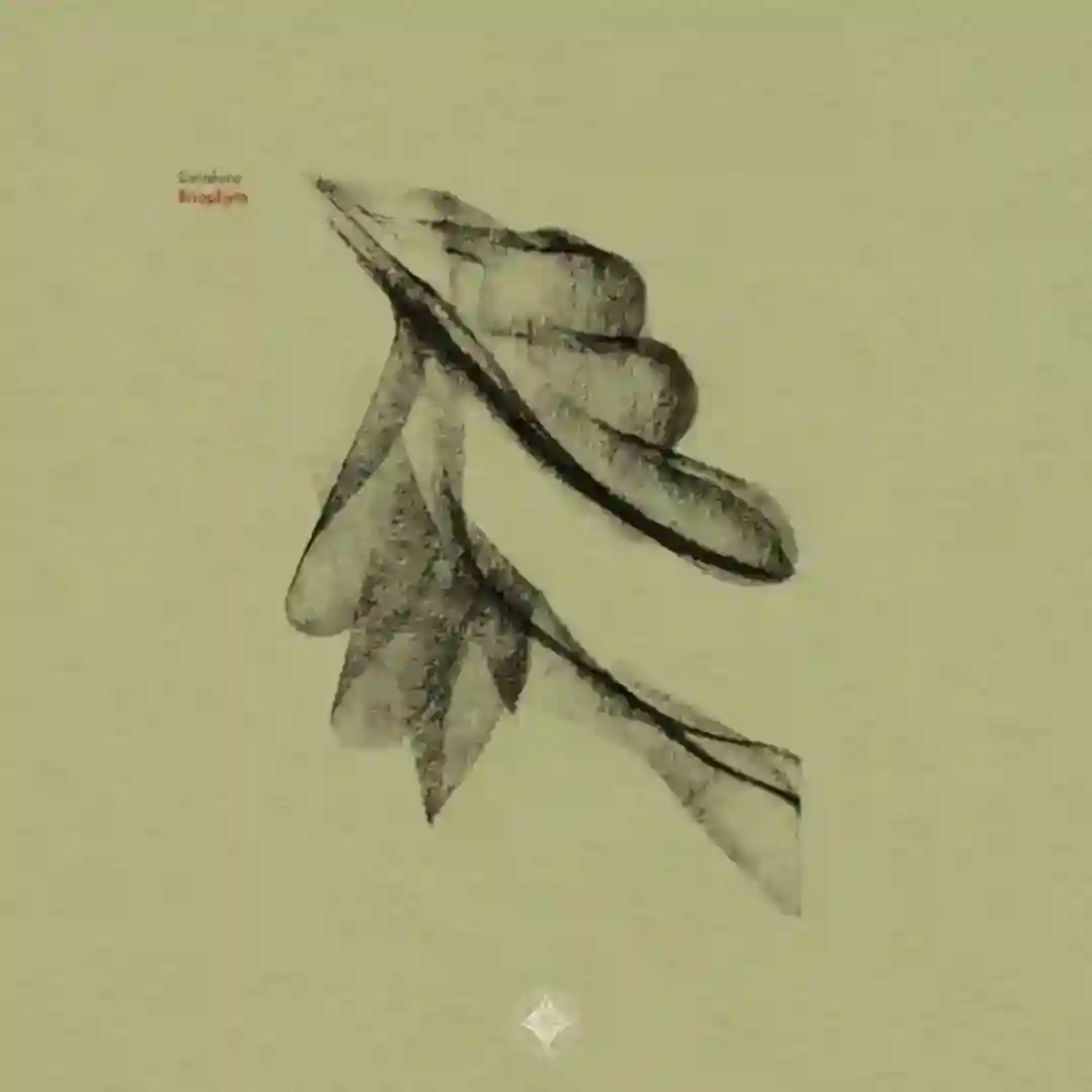 Petalo cover