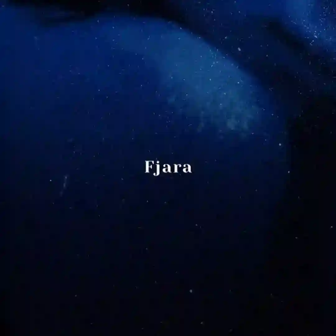 Fjara (Original Mix) cover