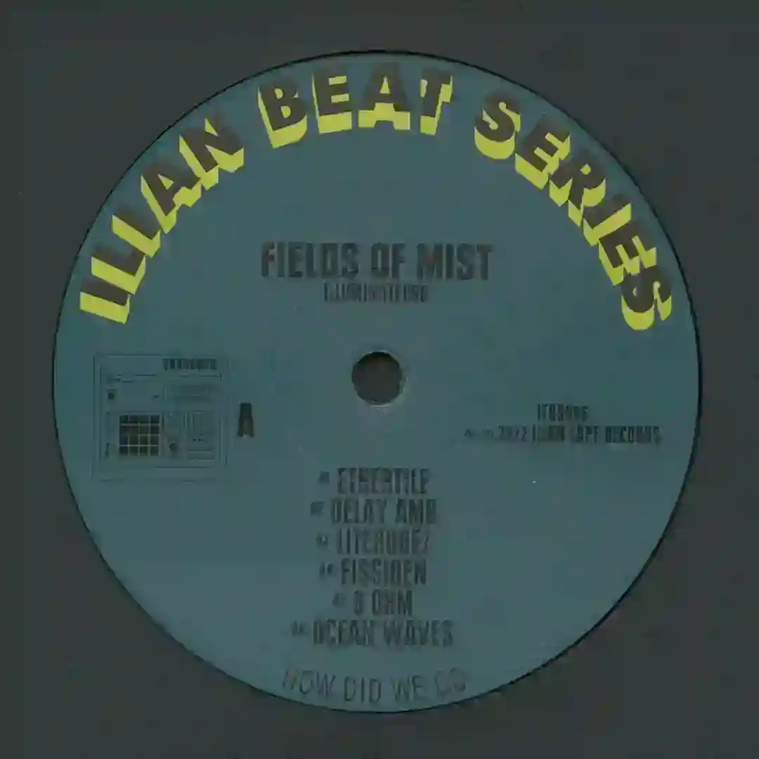 Fissiden cover