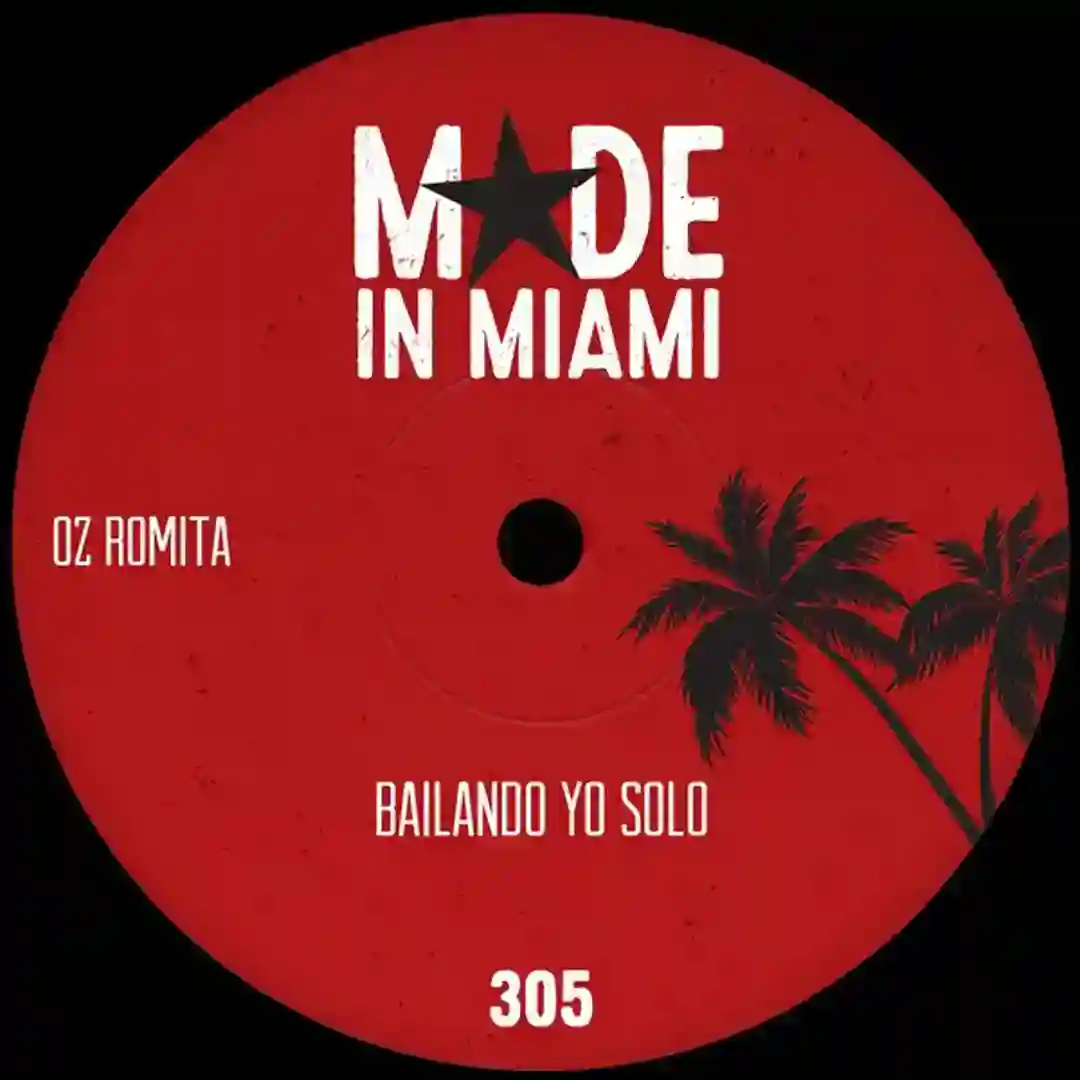 Bailando Yo Solo (Original Mix) cover