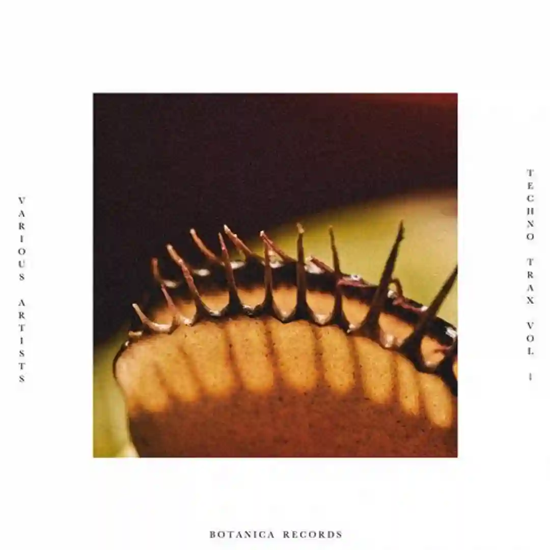 Search Party (Original Mix) cover