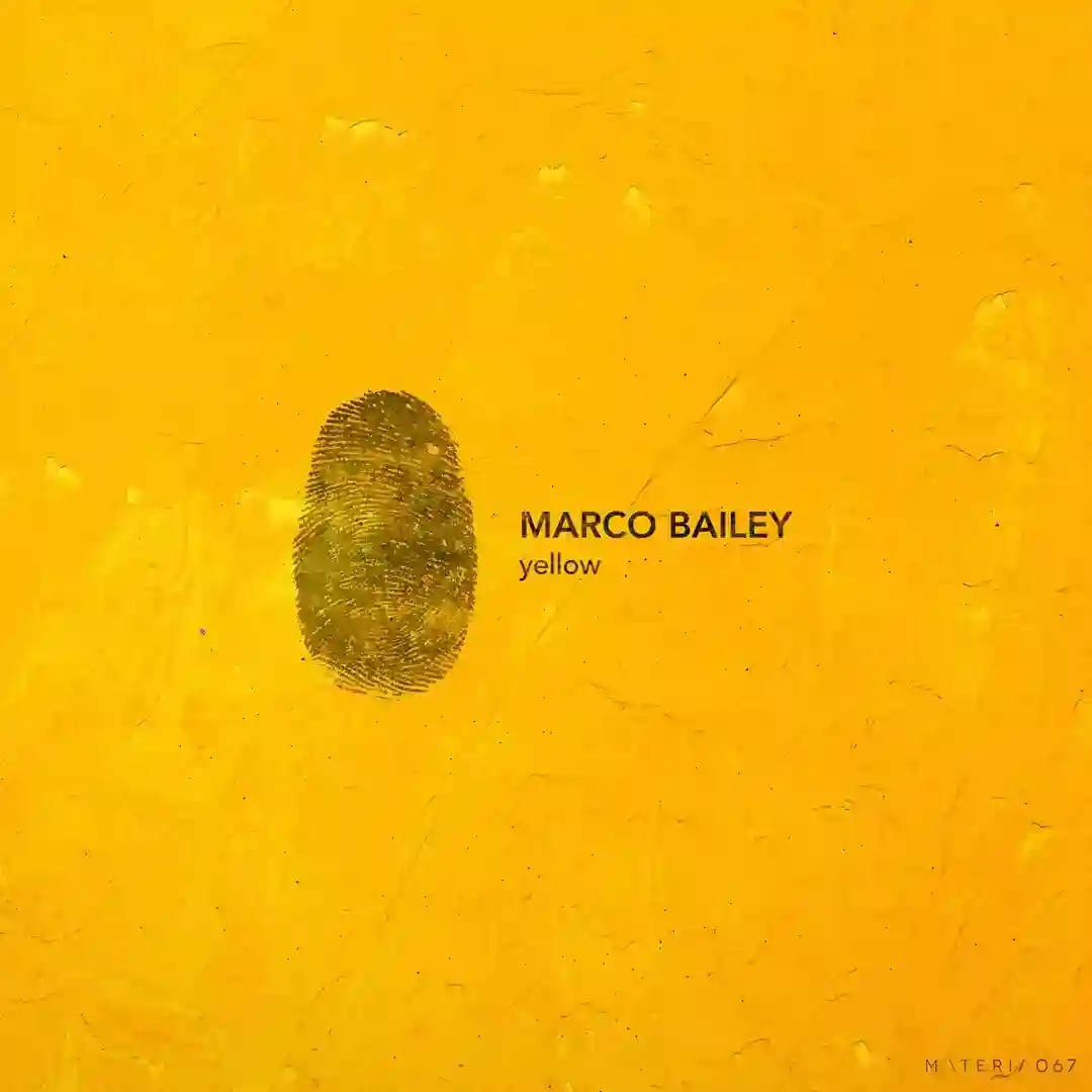 Falak (Original Mix) cover
