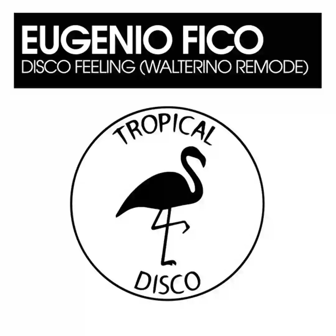 Disco Feeling (Walterino Remode) cover