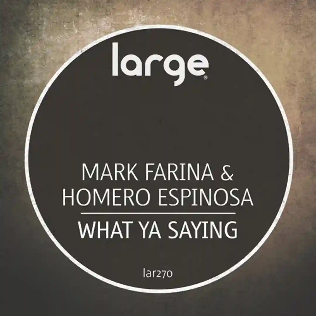 What Ya Saying (Original Mix) cover