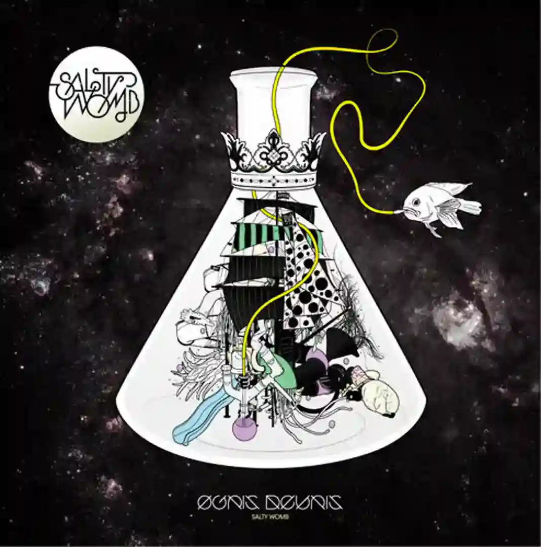 Salty Womb (Brothers Vibe Beats Remix) cover