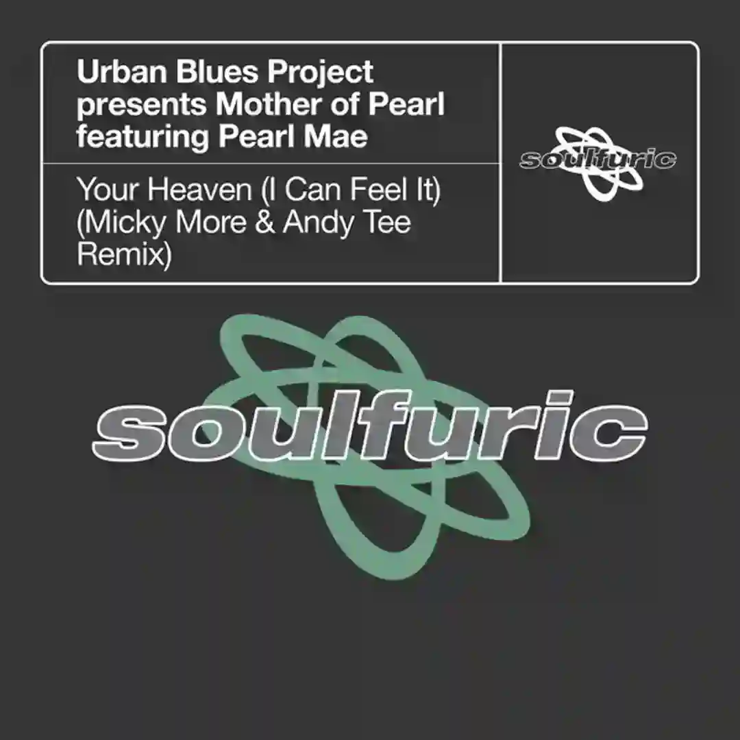 Your Heaven (I Can Feel It) (Micky More & Andy Tee Extended Remix) cover