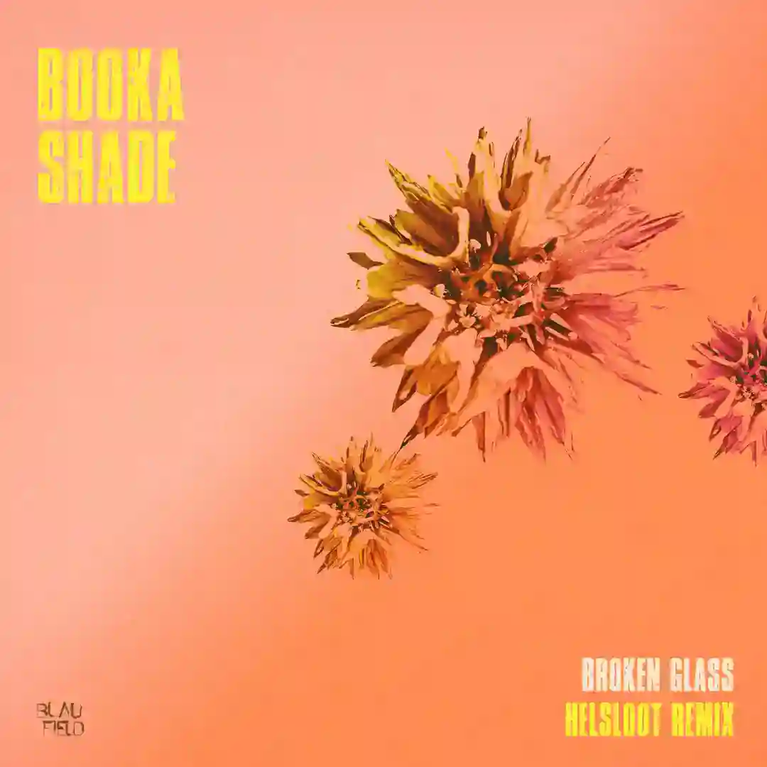 Broken Glass (Helsloot Extended Remix) cover