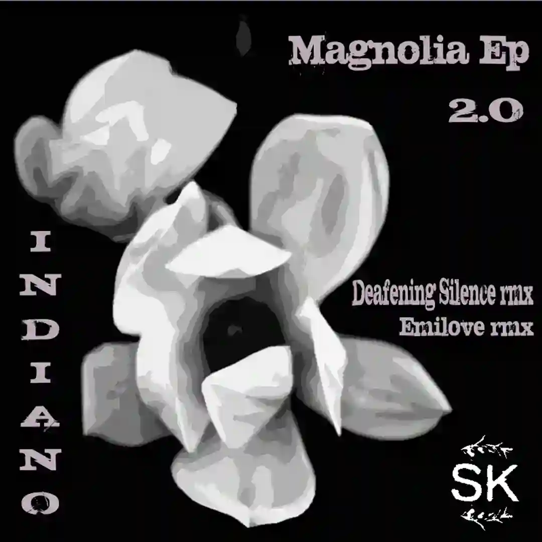 Magnolia (Original Mix) cover