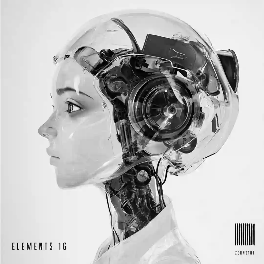 Elements 16 cover