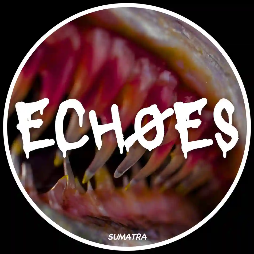 Echoes cover