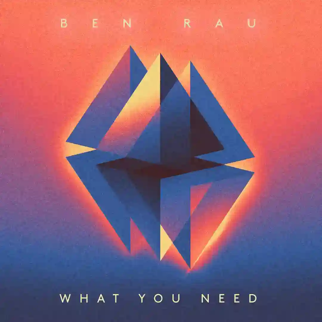 What You Need (Original Mix) cover