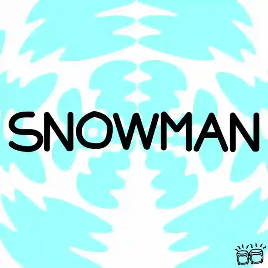 Snowman cover