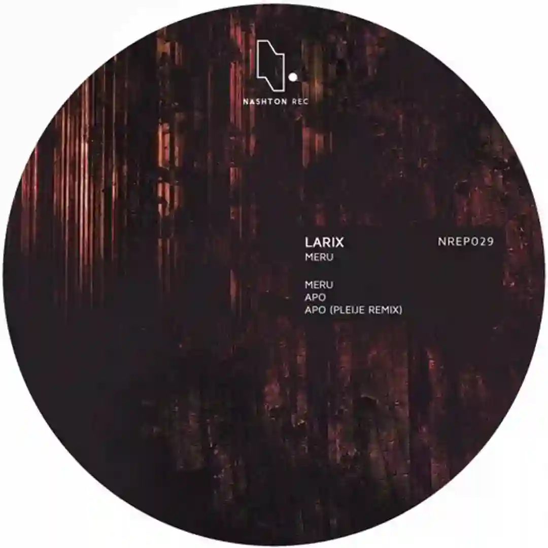 Apo (Pleije Remix) cover