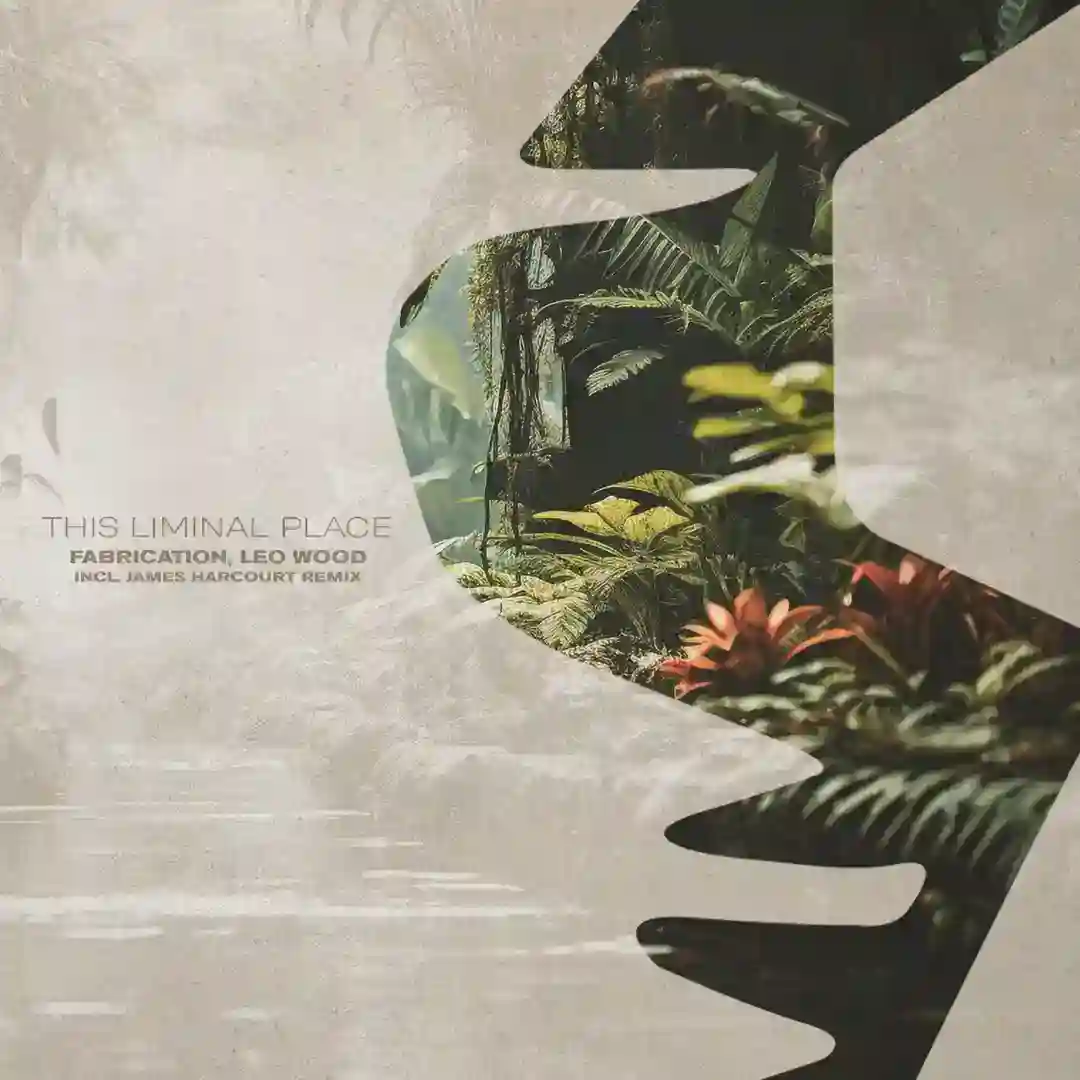 This Liminal Place (James Harcourt Extended Remix) cover