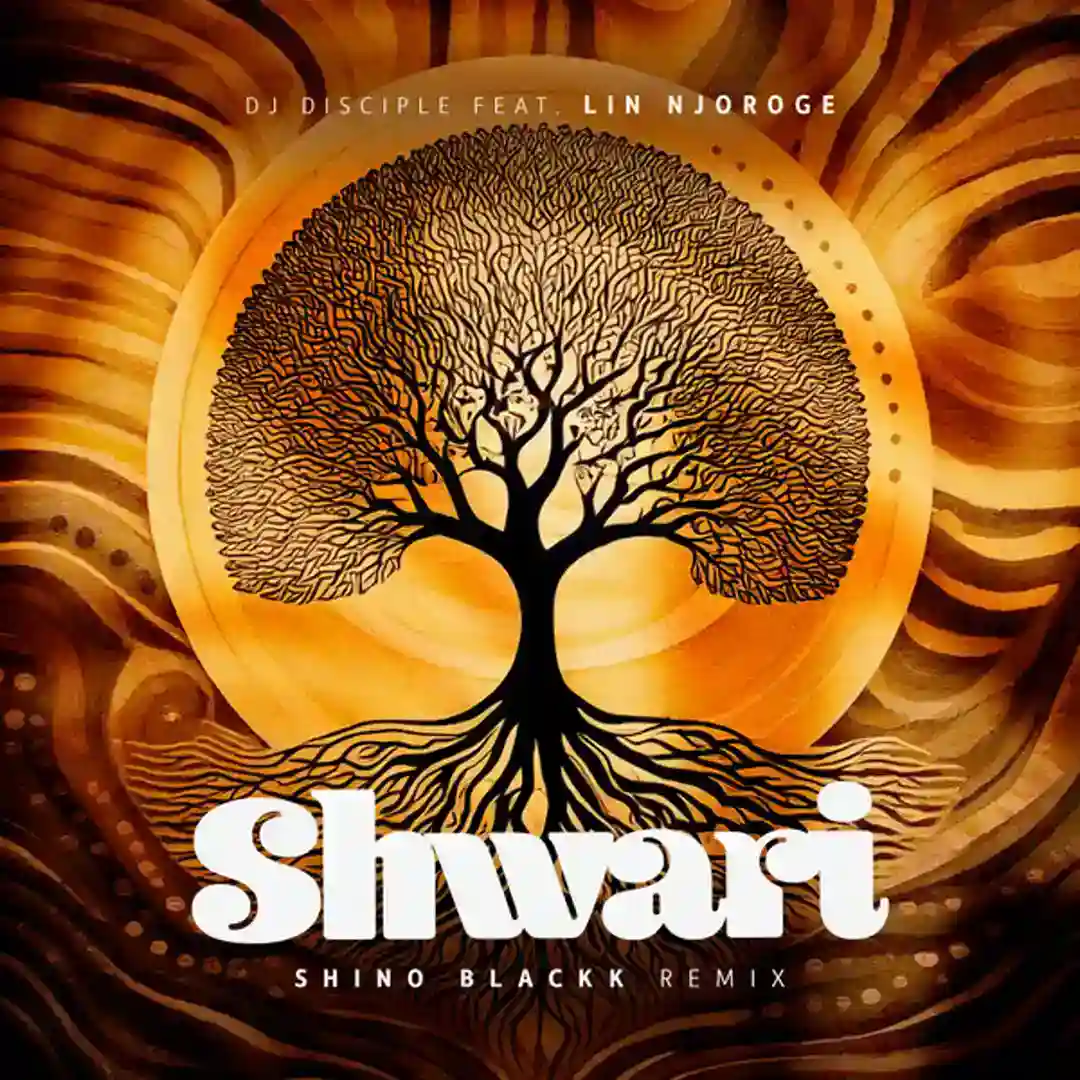 Shwari cover
