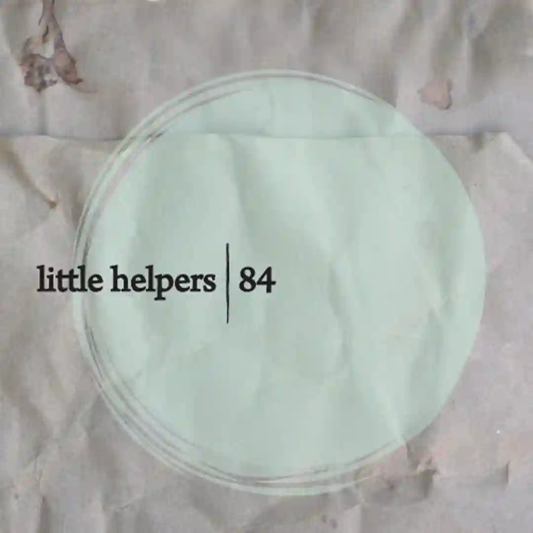 Little Helpers 84 cover