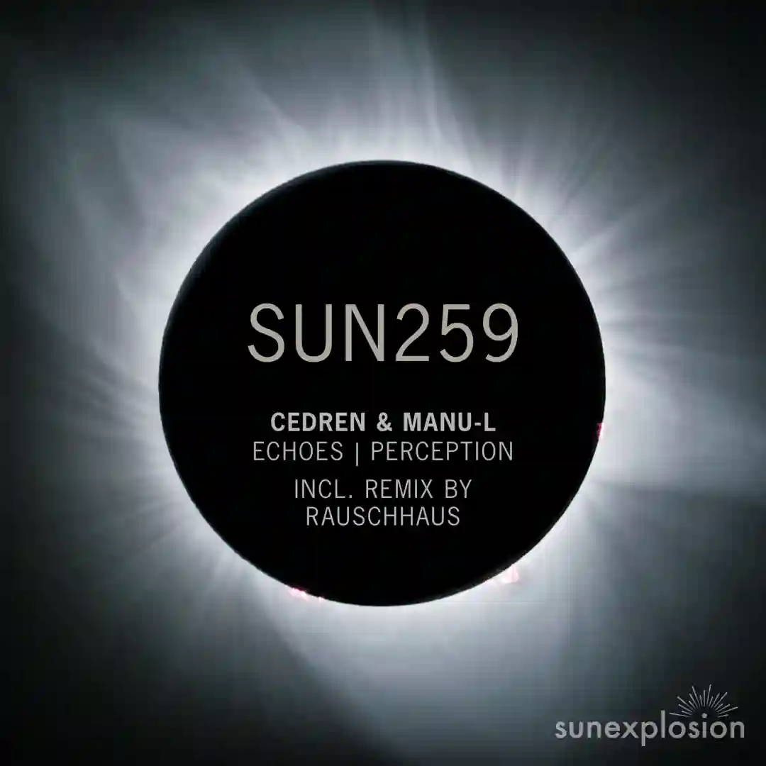 Perception (Original Mix) cover
