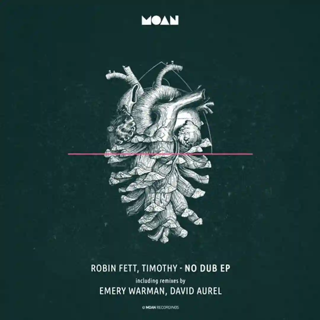No Dub (Original Mix) cover