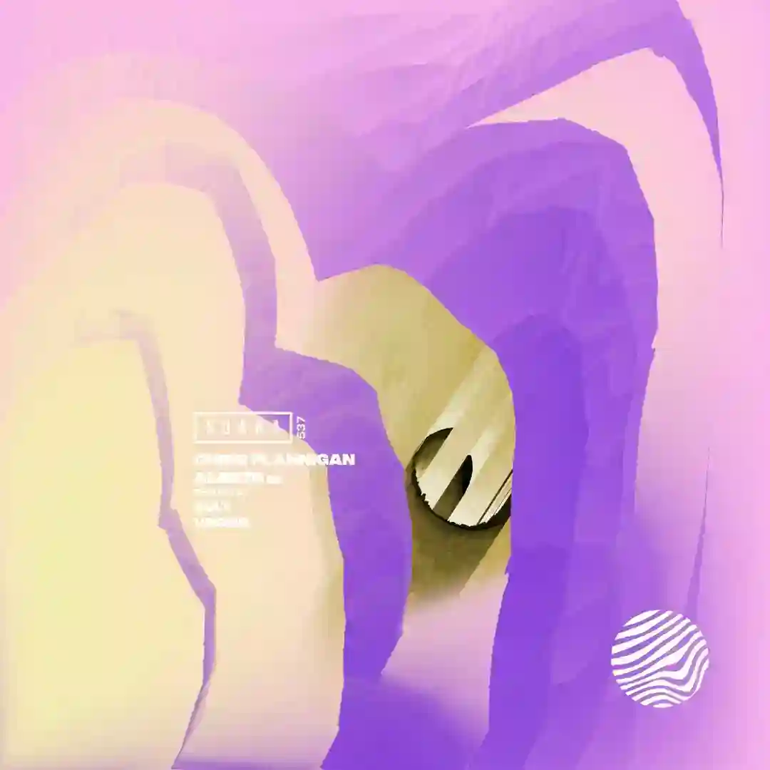 Control (Vromo Remix) cover
