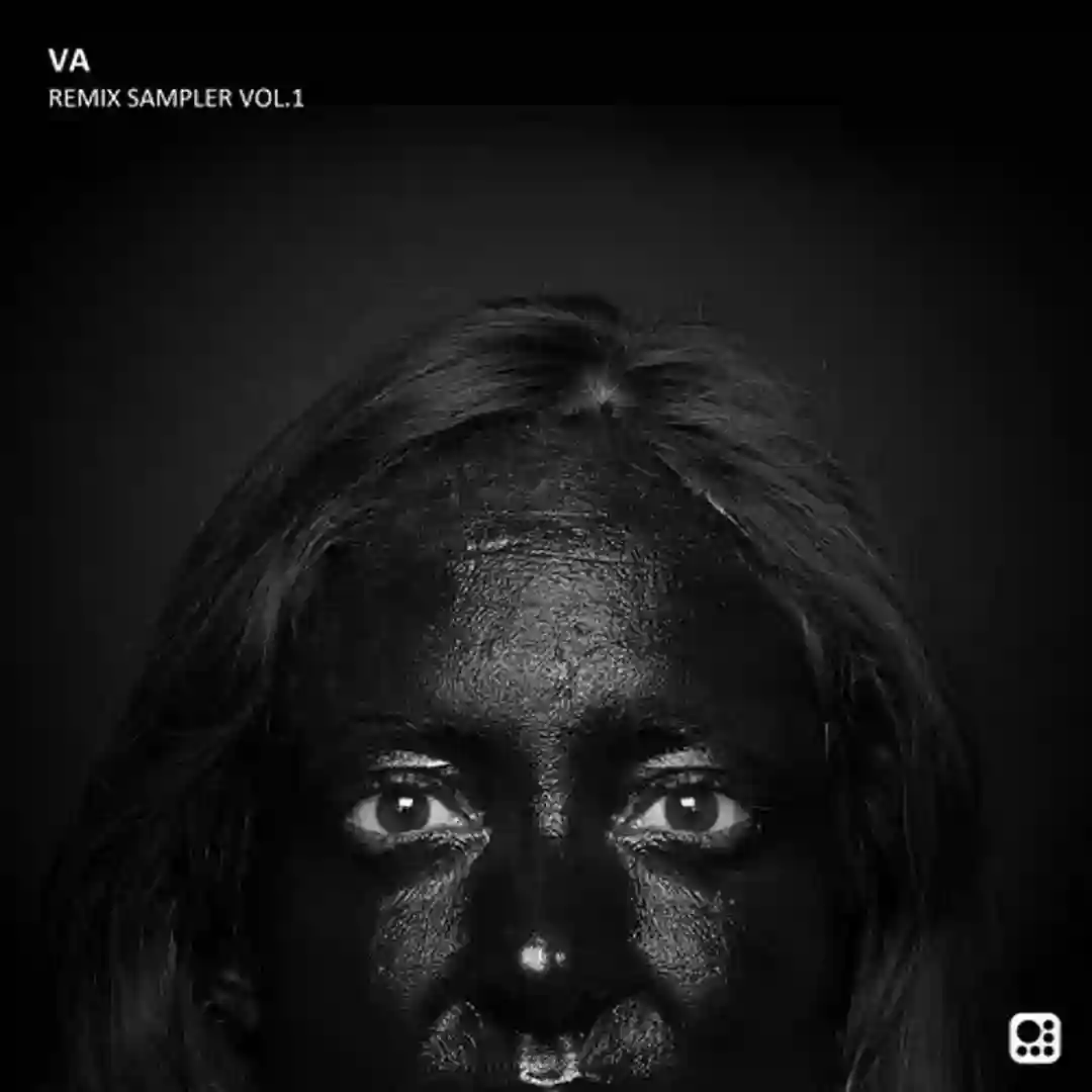 VA Remix Sampler Vol.1 cover