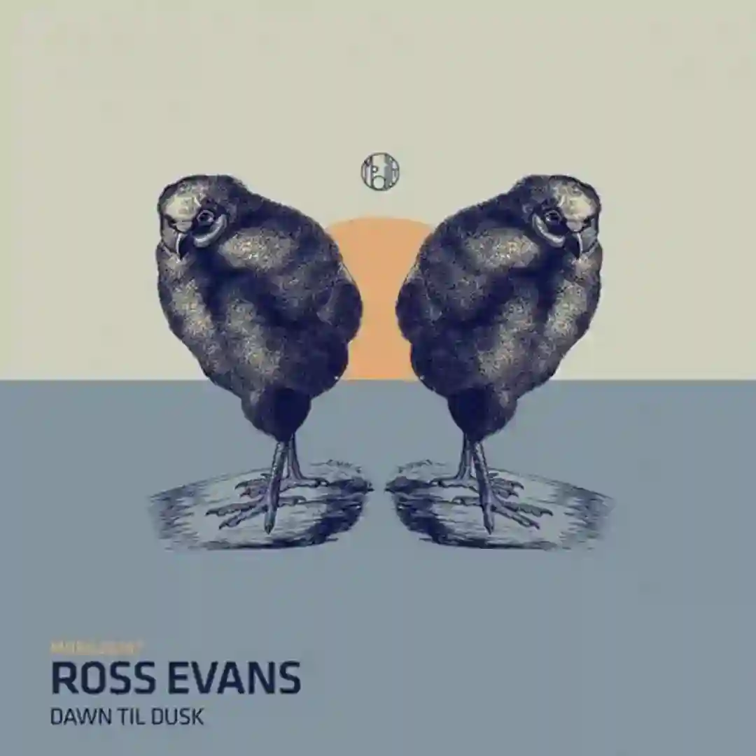 Dawn Til Dusk cover