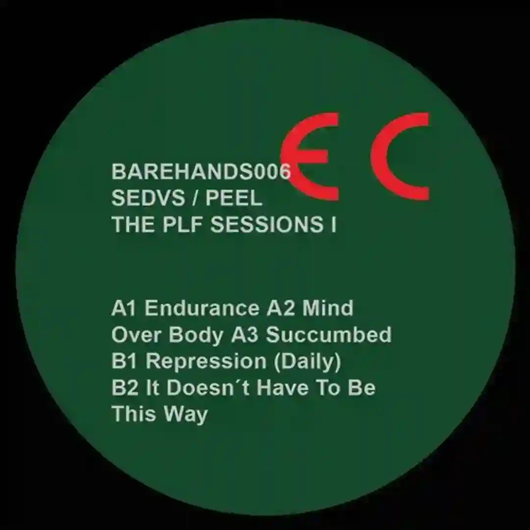 Endurance (Original Mix) cover