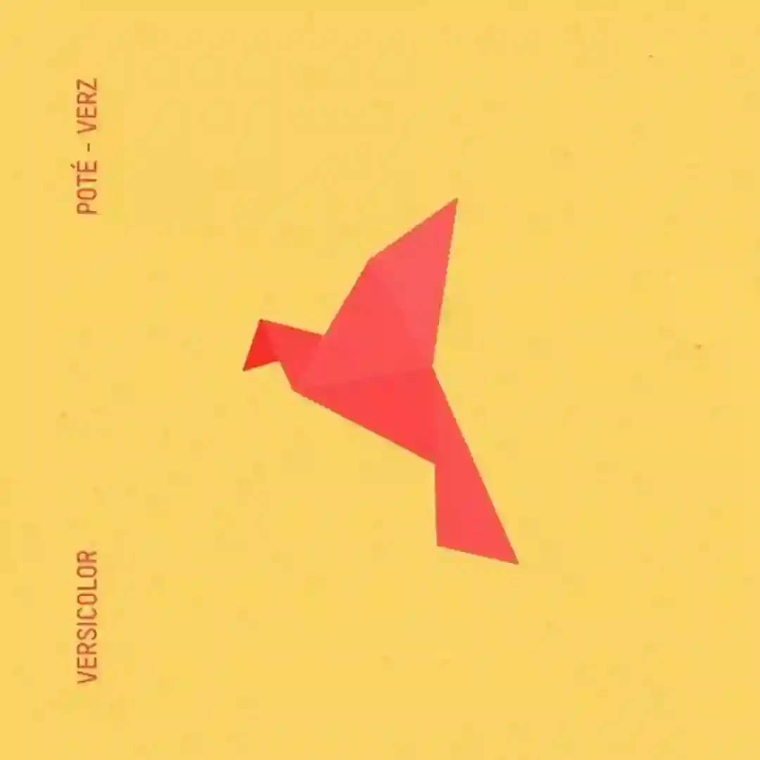 Verz (Original Mix) cover