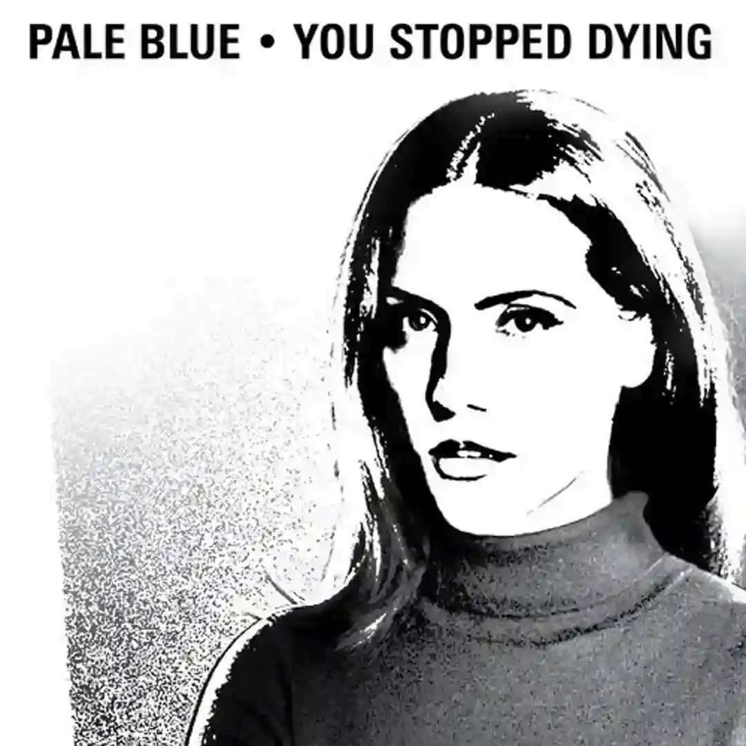 You Stopped Dying cover