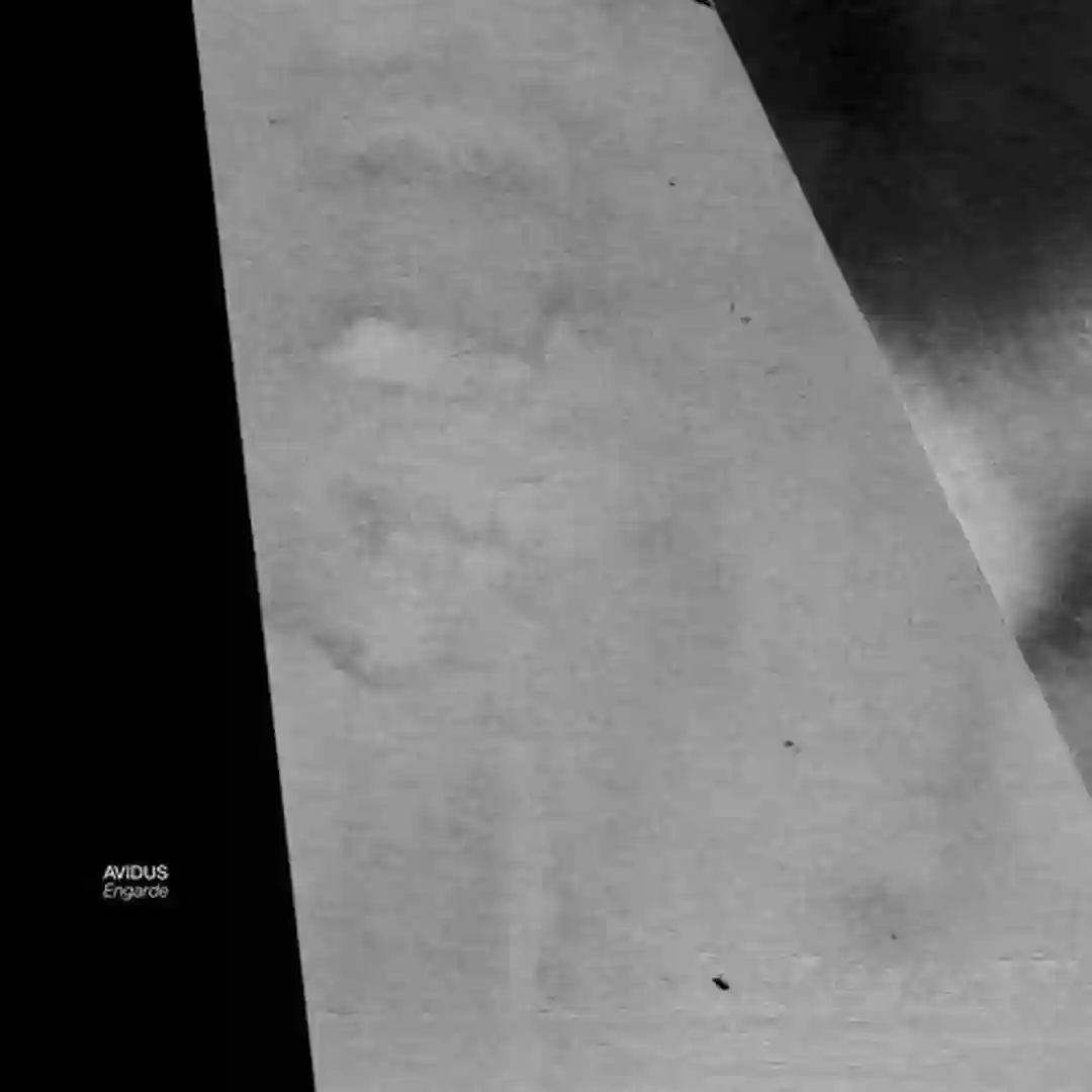Medea (Original Mix) cover