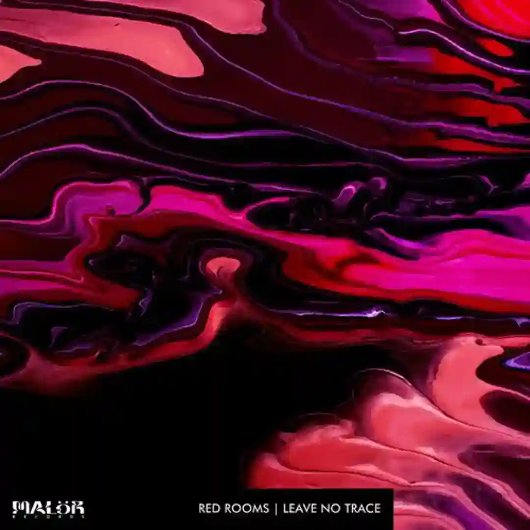 Basic Instinct (Uväll Remix) cover