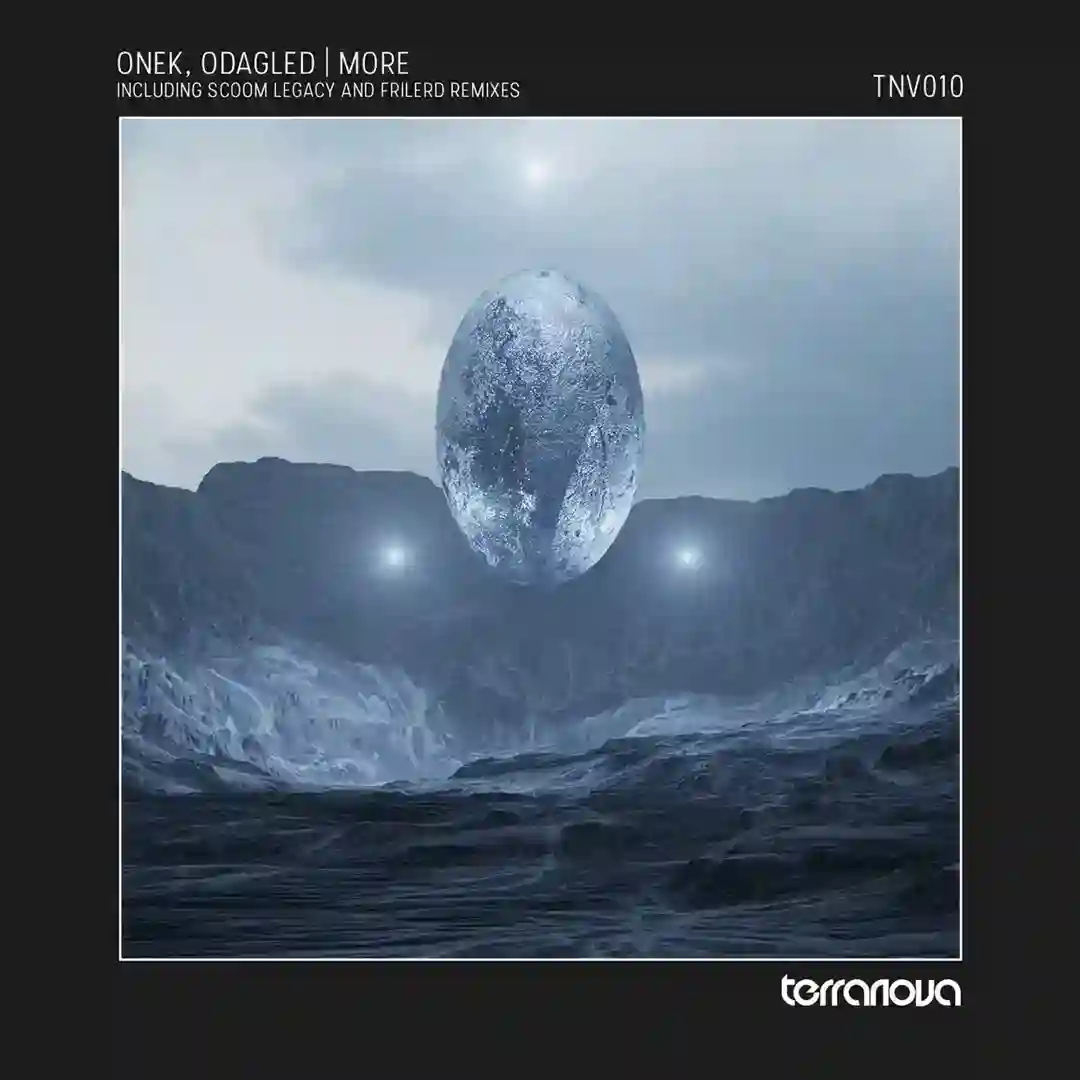 More (Frilerd remix) cover