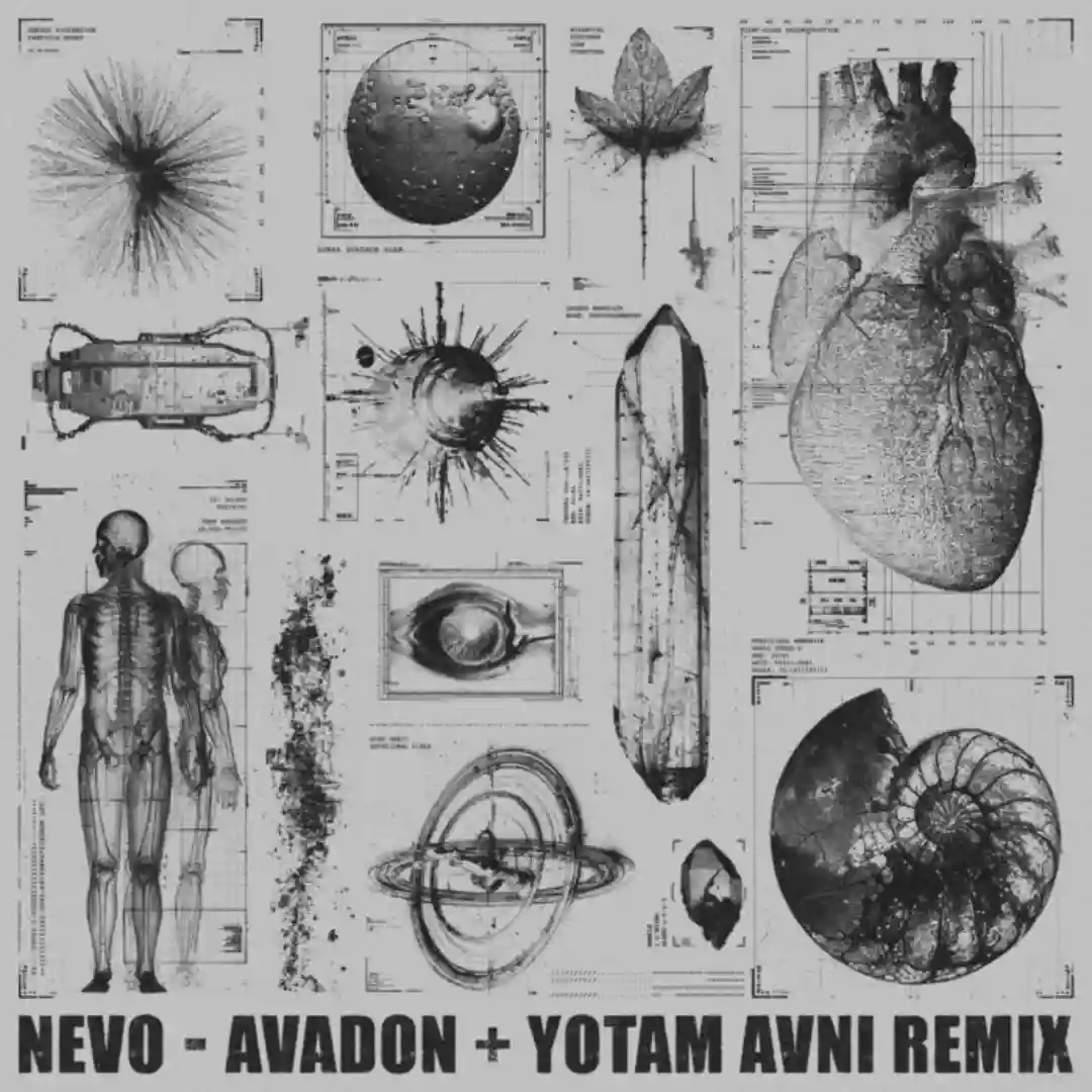 Avadon (Original Mix) cover