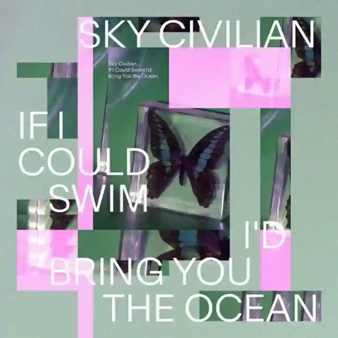 If I Could Swim (I'd Bring You the Ocean) cover