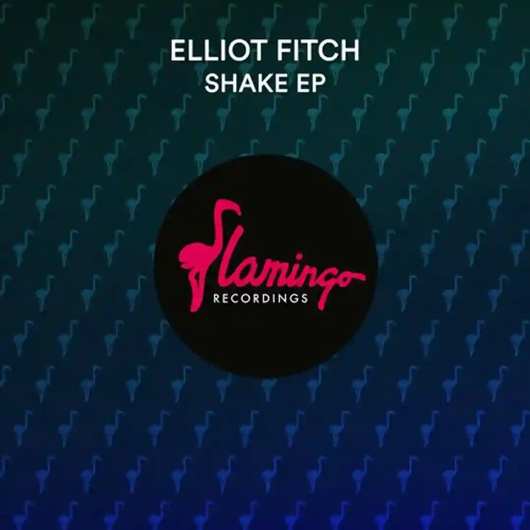 Funky Business (Extended Mix) cover