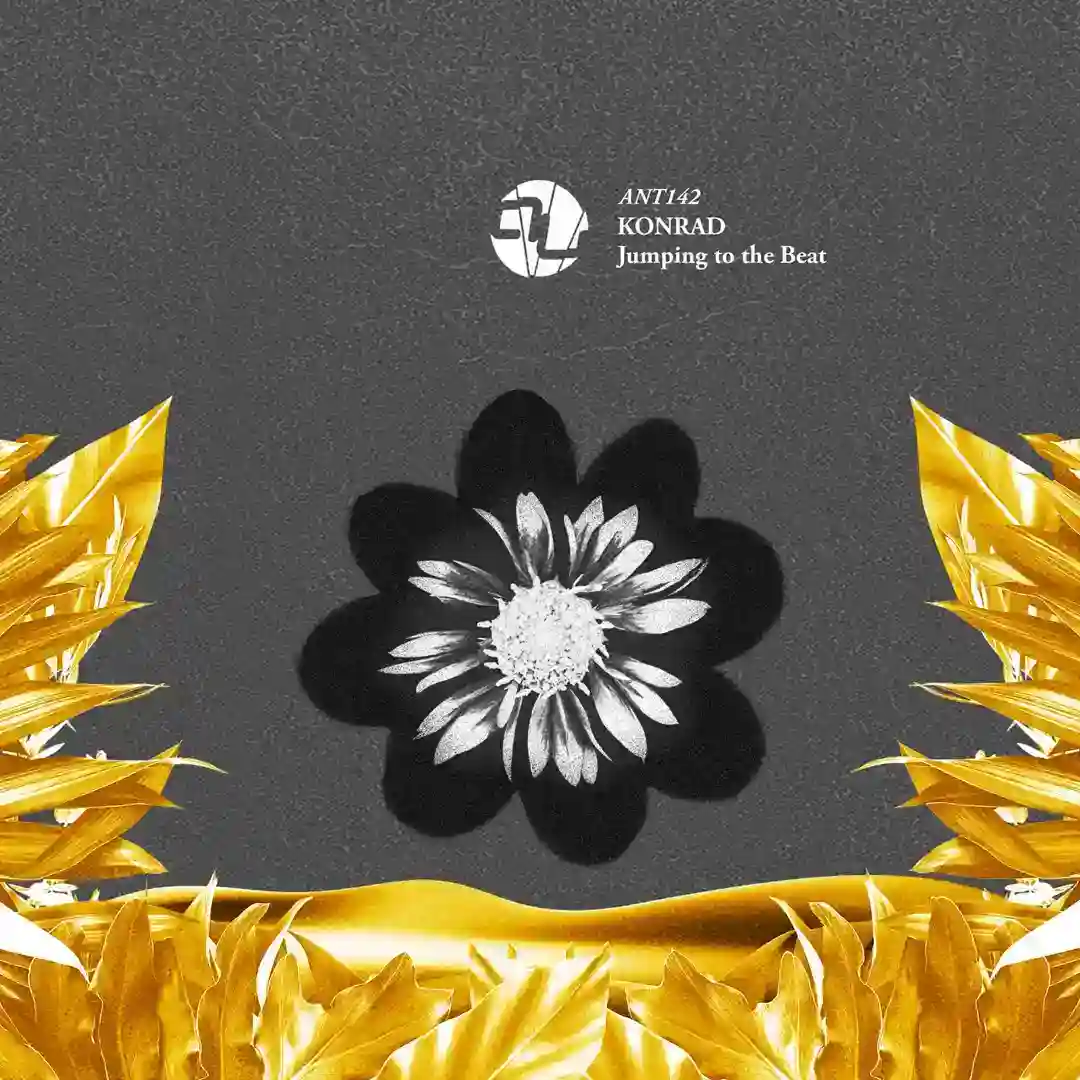 Back To The Origins (Original Mix) cover