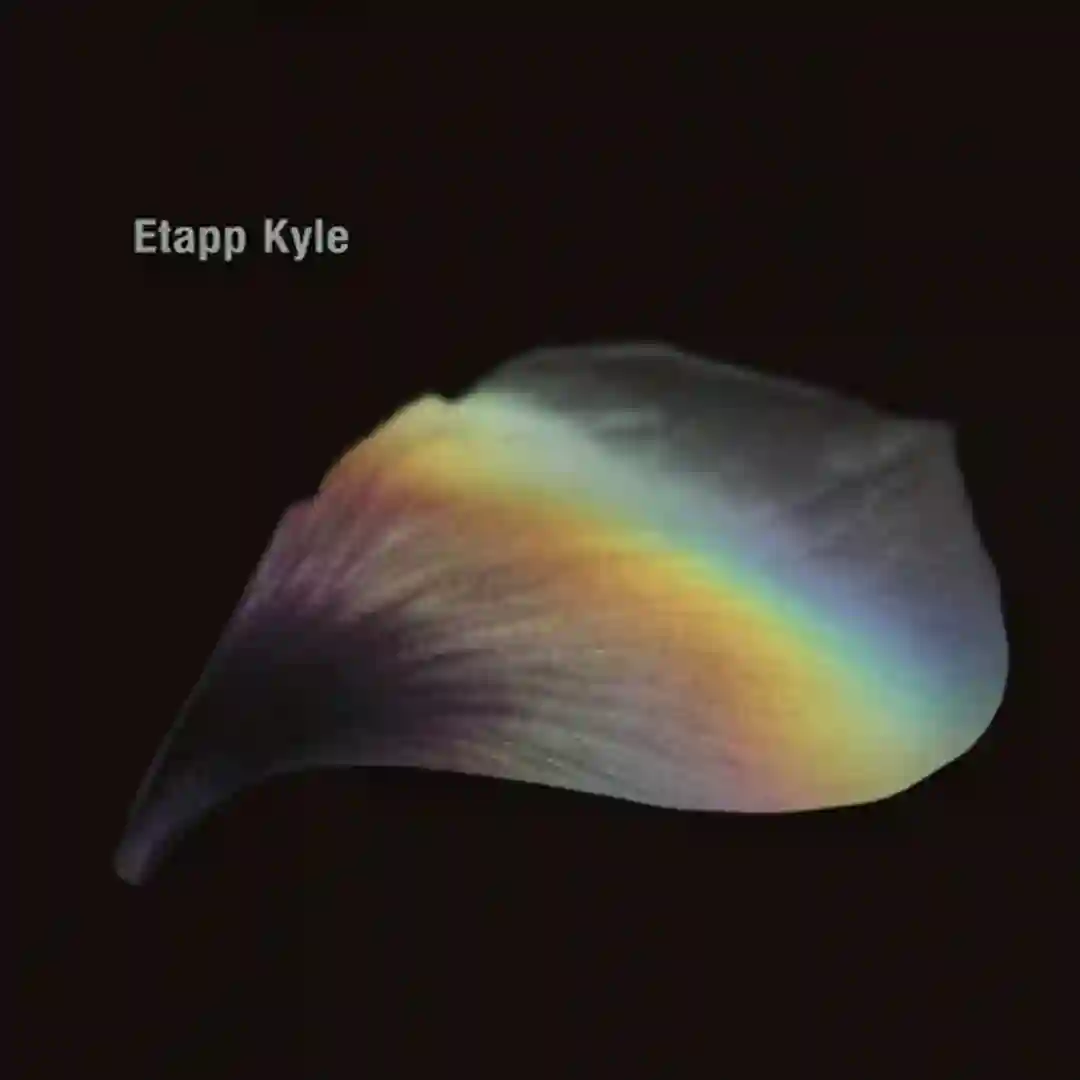 Ritual (Original Mix) cover