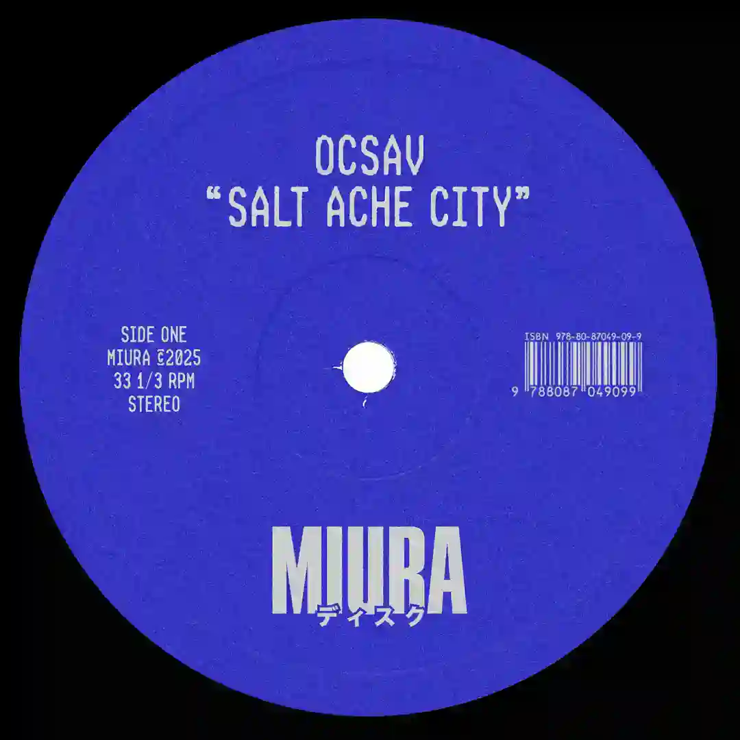 Salt Ache City cover