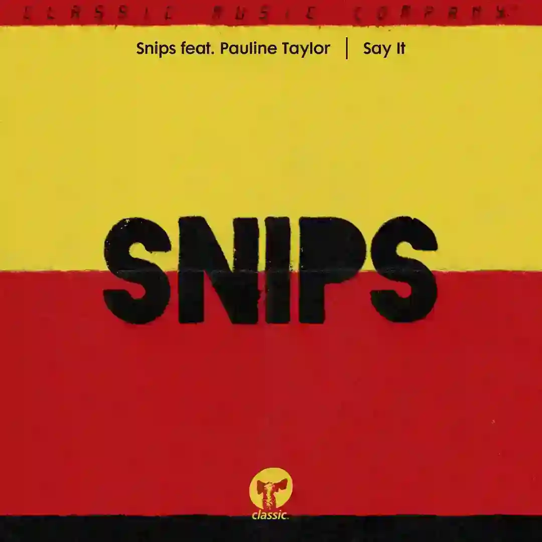 Say It cover