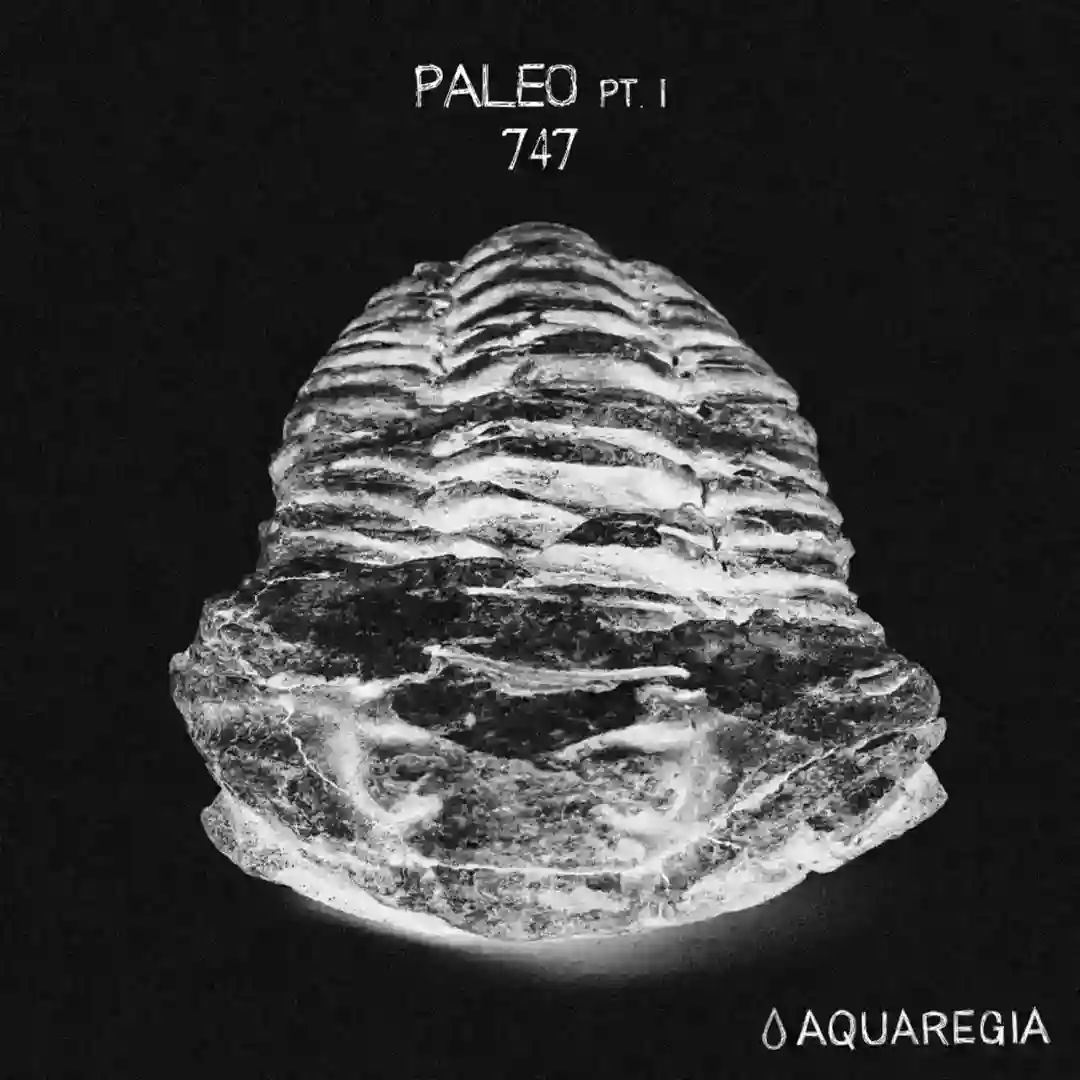Paleo, Pt. 1 cover