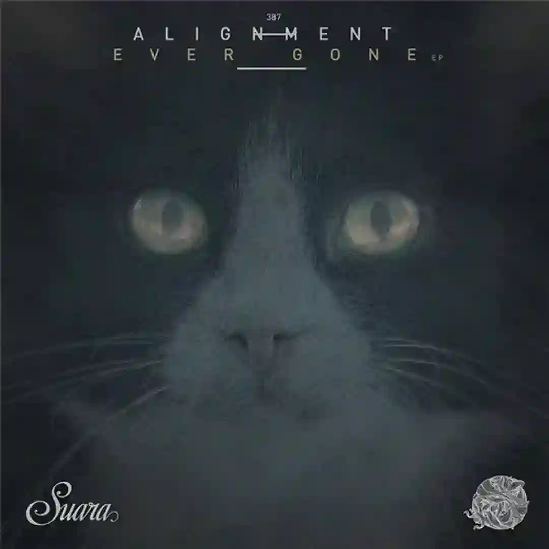 Vision (Original Mix) cover