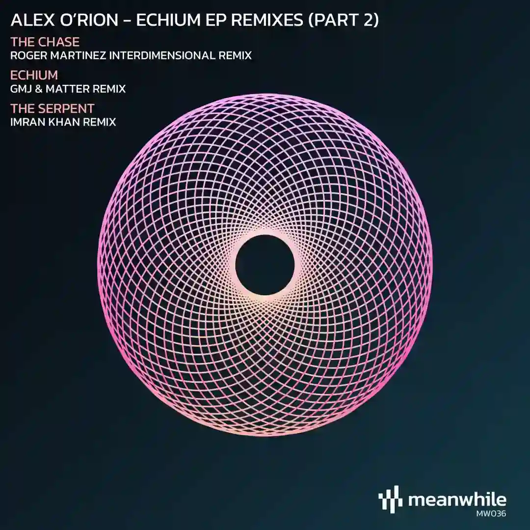 The Serpent (Imran Khan Remix) cover