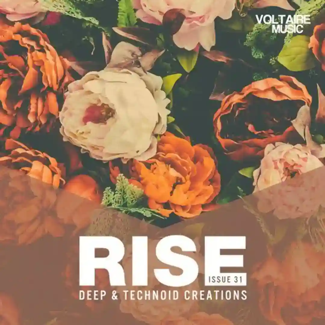 Make Your Rules (Original Mix) cover