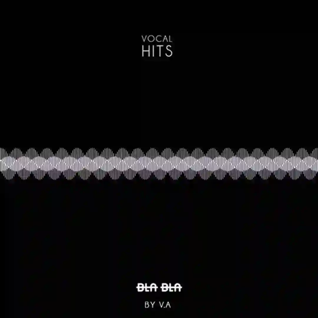 She Got The Goods (Original Mix) cover