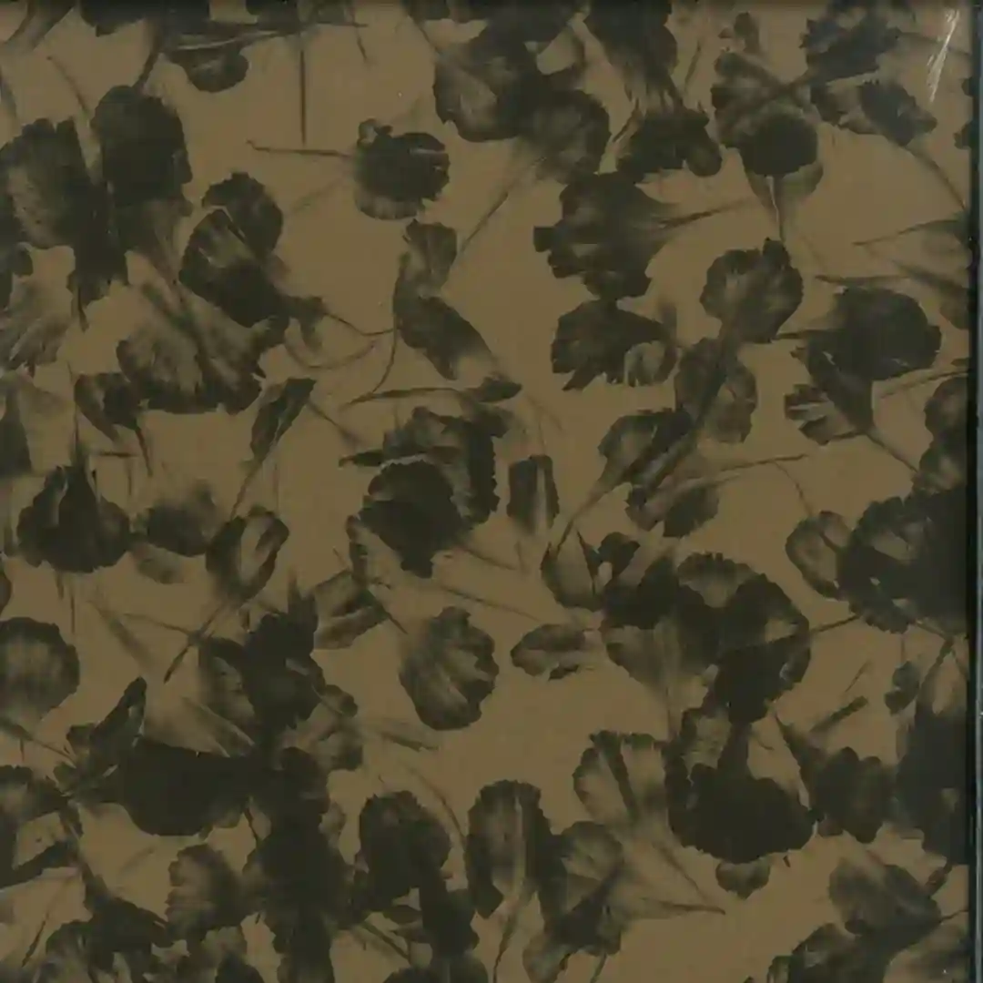 Dene Descris (Reinterpretări) cover